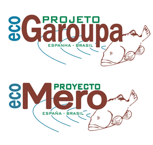Projeto Garoupa